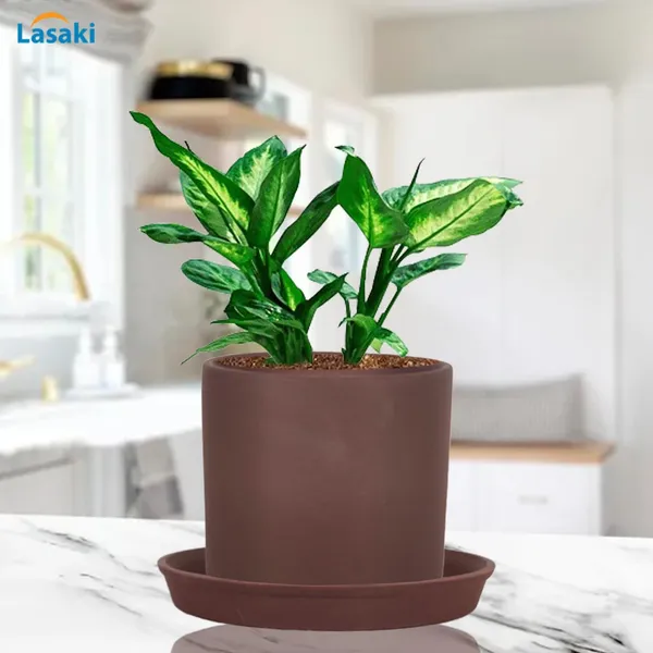 Sara_5_Inch_Truffle_With_Plate_Truffle_R6_Ceramic_Pots_For_Indoor_Plants,Planters,Flower,Gamla,Outdoor,Balcony,Home,Garden,Decor(Pot-H-13Cmxd-14Cm,Plate-H-2.5Xd-16Cm)