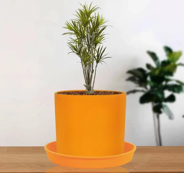 Sara_5_Inch_Lily_With_Plate_Lily_R6_Ceramic_Pots_For_Indoor_Plants,Planters,Flower,Gamla,Outdoor,Balcony,Home,Garden,Decor(Pot-H-13Cmxd-14Cm,Plate-H-2.5Xd-16Cm)