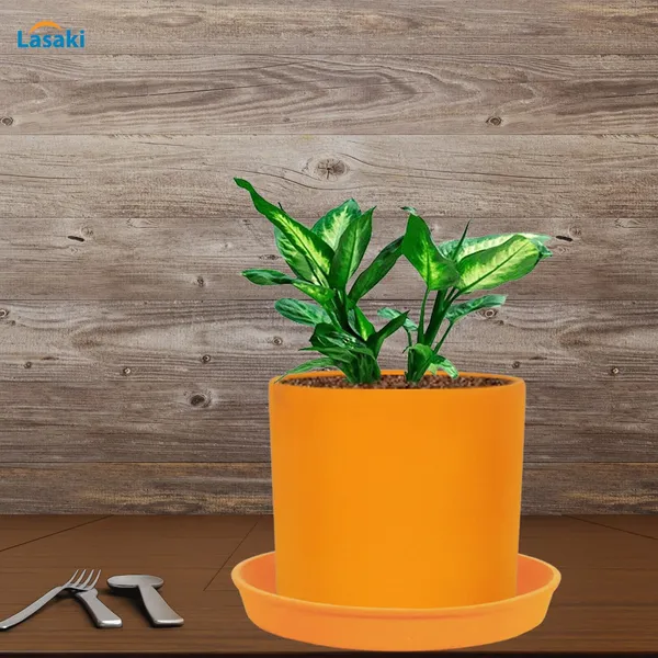 Sara_5_Inch_Lily_With_Plate_Lily_R6_Ceramic_Pots_For_Indoor_Plants,Planters,Flower,Gamla,Outdoor,Balcony,Home,Garden,Decor(Pot-H-13Cmxd-14Cm,Plate-H-2.5Xd-16Cm)