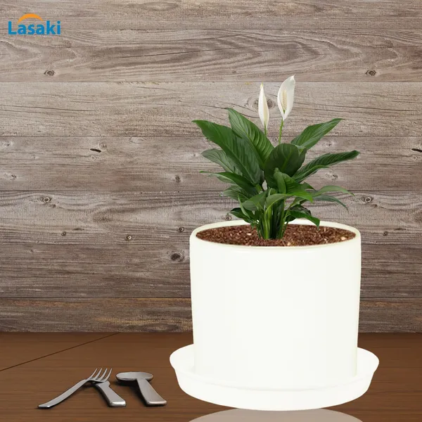 Sara_5_Inch_White_With_Plate_White_R6_Ceramic_Pots_For_Indoor_Plants,Planters,Flower,Gamla,Outdoor,Balcony,Home,Garden,Decor(Pot-H-13Cmxd-14Cm,Plate-H-2.5Xd-16Cm)