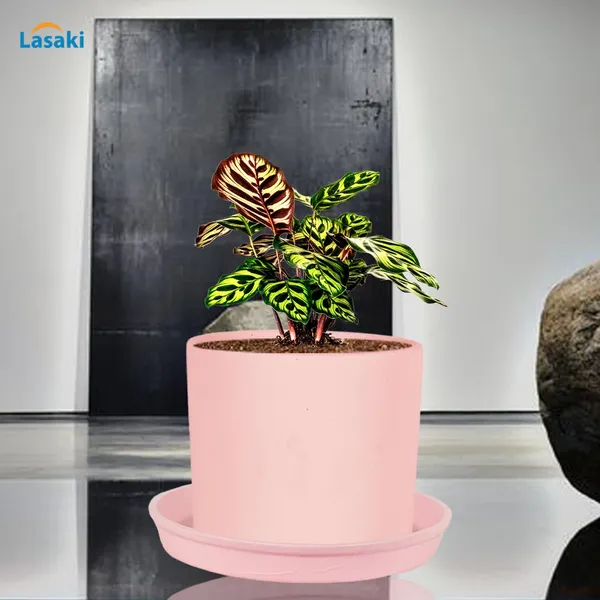 Sara_5_Inch_Pink_With_Plate_Pink_R6_Ceramic_Pots_For_Indoor_Plants,Planters,Flower,Gamla,Outdoor,Balcony,Home,Garden,Decor(Pot-H-13Cmxd-14Cm,Plate-H-2.5Xd-16Cm)