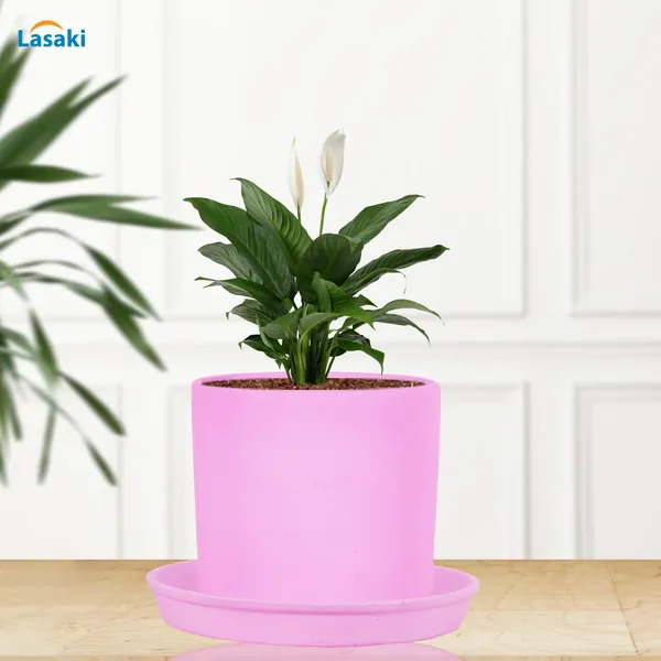 Sara_5_Inch_Purple_With_Plate_Purple_R6_Ceramic_Pots_For_Indoor_Plants,Planters,Flower,Gamla,Outdoor,Balcony,Home,Garden,Decor(Pot-H-13Cmxd-14Cm,Plate-H-2.5Xd-16Cm)