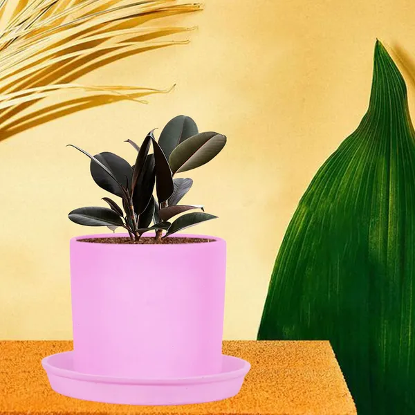 Sara_5_Inch_Purple_With_Plate_Purple_R6_Ceramic_Pots_For_Indoor_Plants,Planters,Flower,Gamla,Outdoor,Balcony,Home,Garden,Decor(Pot-H-13Cmxd-14Cm,Plate-H-2.5Xd-16Cm)