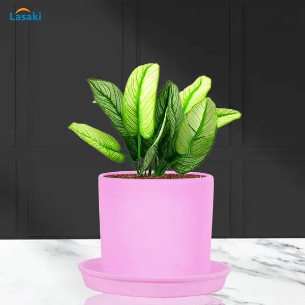 Sara_5_Inch_Purple_With_Plate_Purple_R6_Ceramic_Pots_For_Indoor_Plants,Planters,Flower,Gamla,Outdoor,Balcony,Home,Garden,Decor(Pot-H-13Cmxd-14Cm,Plate-H-2.5Xd-16Cm)