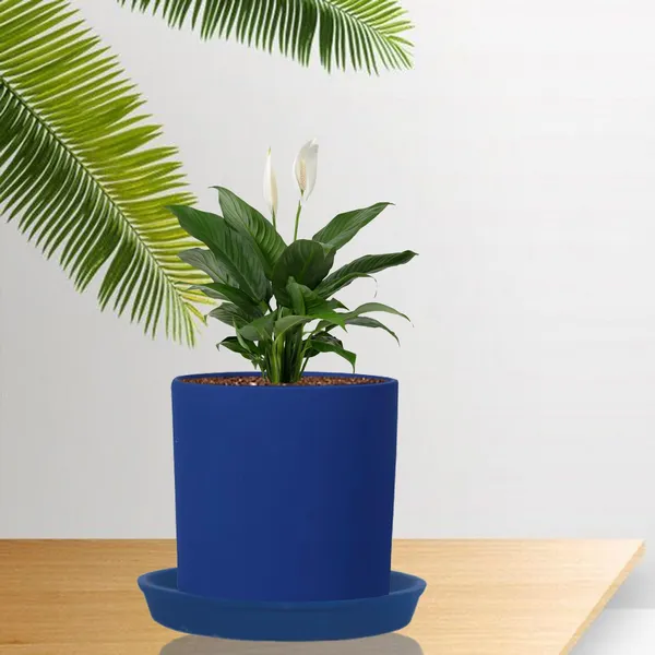 Sara_5_Inch_Blue_With_Plate_Blue_R6_Ceramic_Pots_For_Indoor_Plants,Planters,Flower,Gamla,Outdoor,Balcony,Home,Garden,Decor(Pot-H-13Cmxd-14Cm,Plate-H-2.5Xd-16Cm)