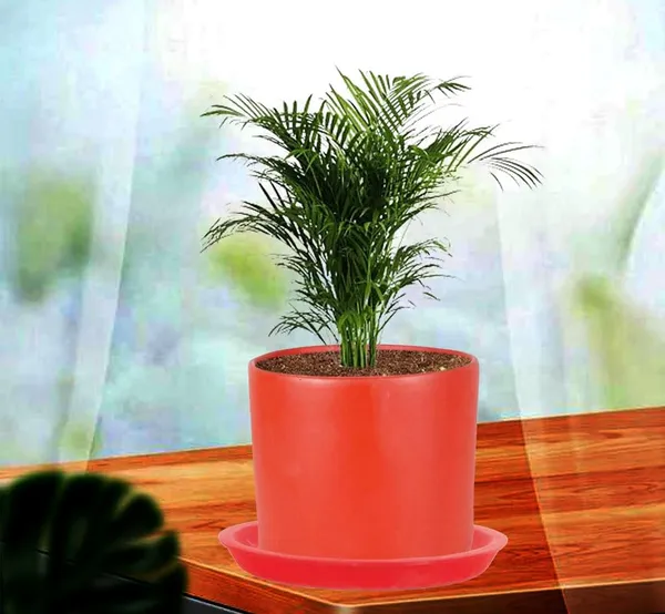Sara_5_Inch_Red_With_Plate_Red_R6_Ceramic_Pots_For_Indoor_Plants,Planters,Flower,Gamla,Outdoor,Balcony,Home,Garden,Decor(Pot-H-13Cmxd-14Cm,Plate-H-2.5Xd-16Cm)