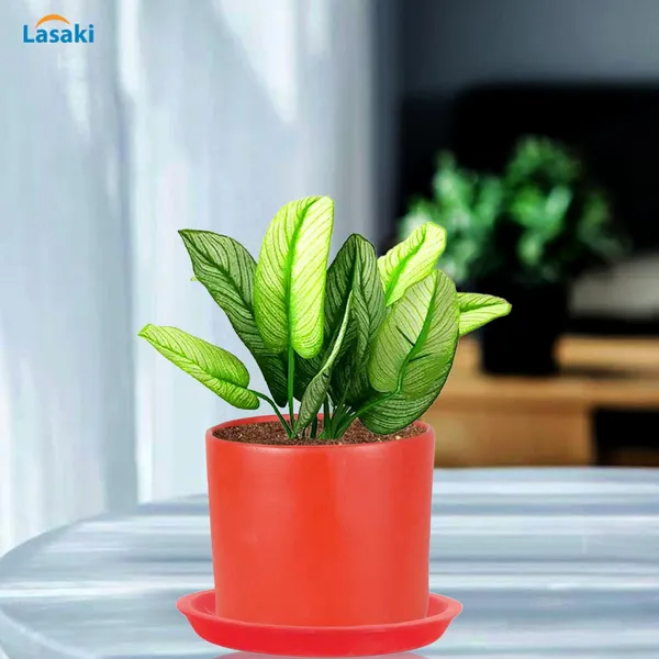 Sara_5_Inch_Red_With_Plate_Red_R6_Ceramic_Pots_For_Indoor_Plants,Planters,Flower,Gamla,Outdoor,Balcony,Home,Garden,Decor(Pot-H-13Cmxd-14Cm,Plate-H-2.5Xd-16Cm)