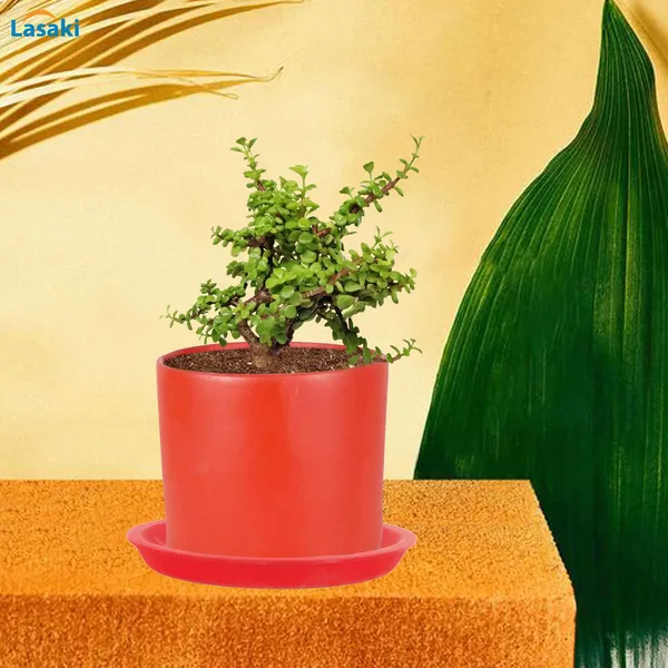 Sara_5_Inch_Red_With_Plate_Red_R6_Ceramic_Pots_For_Indoor_Plants,Planters,Flower,Gamla,Outdoor,Balcony,Home,Garden,Decor(Pot-H-13Cmxd-14Cm,Plate-H-2.5Xd-16Cm)
