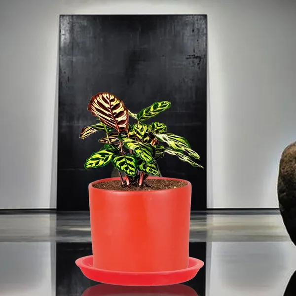 Sara_5_Inch_Red_With_Plate_Red_R6_Ceramic_Pots_For_Indoor_Plants,Planters,Flower,Gamla,Outdoor,Balcony,Home,Garden,Decor(Pot-H-13Cmxd-14Cm,Plate-H-2.5Xd-16Cm)