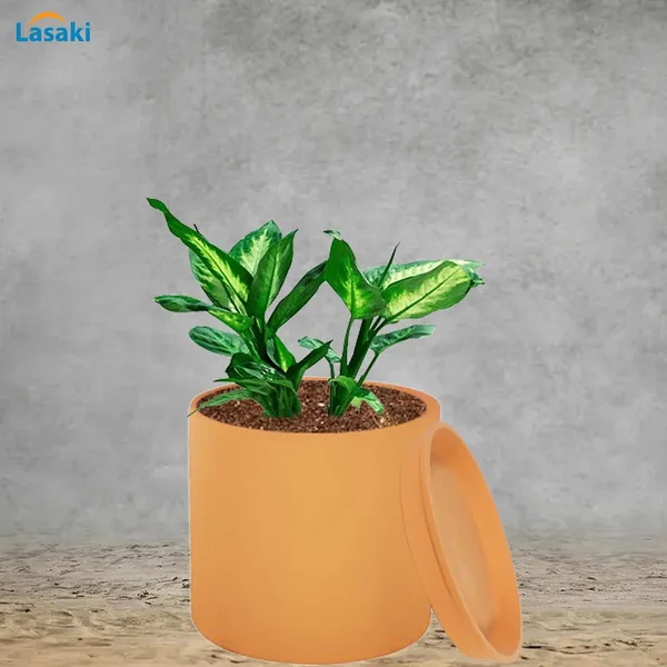 Sara_5_Inch_Ginger_With_Plate_Ginger_R6_Ceramic_Pots_For_Indoor_Plants,Planters,Flower,Gamla,Outdoor,Balcony,Home,Garden,Decor(Pot-H-13Cmxd-14Cm,Plate-H-2.5Xd-16Cm)