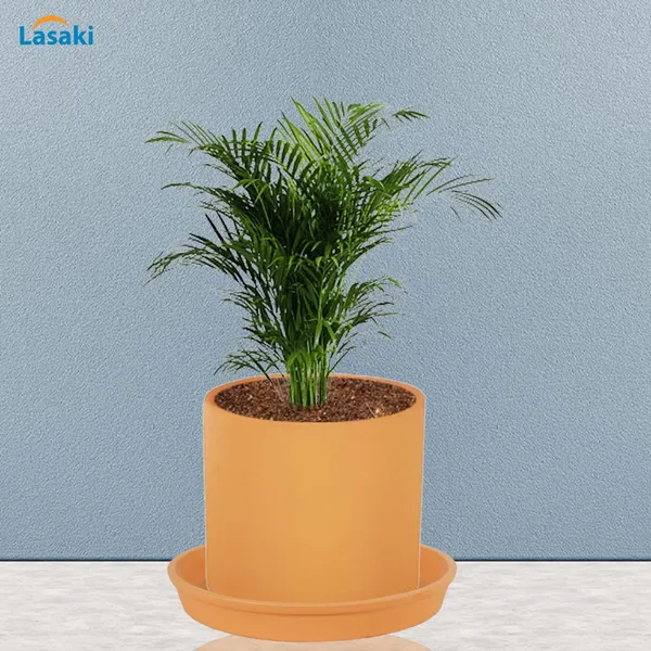 Sara_5_Inch_Ginger_With_Plate_Ginger_R6_Ceramic_Pots_For_Indoor_Plants,Planters,Flower,Gamla,Outdoor,Balcony,Home,Garden,Decor(Pot-H-13Cmxd-14Cm,Plate-H-2.5Xd-16Cm)