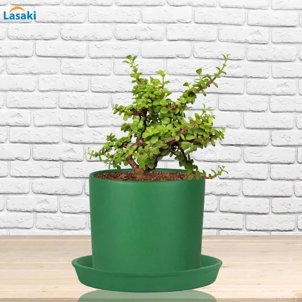 Sara_5_Inch_Deep_Jungle_With_Plate_Deep_Jungle_R6_Ceramic_Pots_For_Indoor_Plants,Planters,Flower,Gamla,Balcony,Home,Garden,Decor(Pot-H-13Cmxd-14Cm,Plate-H-2.5Xd-16Cm)