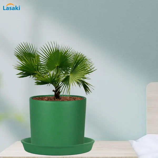 Sara_5_Inch_Deep_Jungle_With_Plate_Deep_Jungle_R6_Ceramic_Pots_For_Indoor_Plants,Planters,Flower,Gamla,Balcony,Home,Garden,Decor(Pot-H-13Cmxd-14Cm,Plate-H-2.5Xd-16Cm)