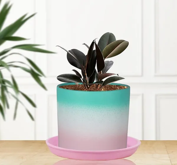 Sara_5_Inch_3T_Pwa_With_Plate_Pink_R6_Ceramic_Pots_For_Indoor_Plants,Planters,Flower,Gamla,Outdoor,Balcony,Home,Garden,Decor(Pot-H-13Cmxd-14Cm,Plate-H-2.5Xd-16Cm)