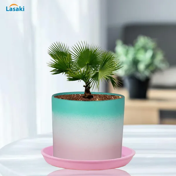 Sara_5_Inch_3T_Pwa_With_Plate_Pink_R6_Ceramic_Pots_For_Indoor_Plants,Planters,Flower,Gamla,Outdoor,Balcony,Home,Garden,Decor(Pot-H-13Cmxd-14Cm,Plate-H-2.5Xd-16Cm)
