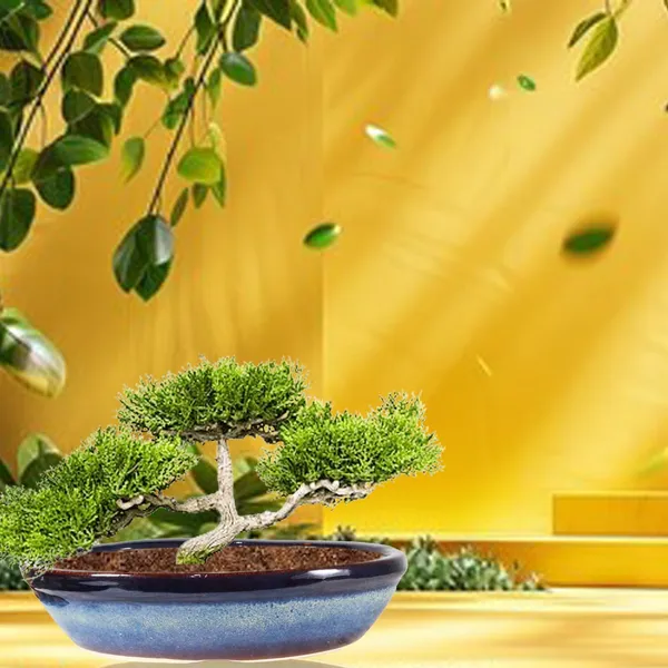 Flora_Multi_Ceramic_Pots_For_Indoor_Plants,Bonsai,Planters,Gamla,Outdoor,Balcony,Home,Garden,Office_Decor,Succulent(L_-_45.5_X_W_-_31.5_X_H_-_11_Cm)