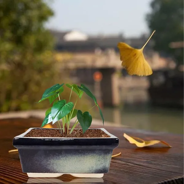 Decodew_Multi_Ceramic_Pots_For_Indoor_Plants,Bonsai,Planters,Gamla,Outdoor,Balcony,Home,Garden,Office_Decor,Succulent(L_-_28_X_W_-_28_X_H_-_12_Cm)