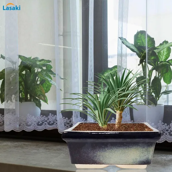 Decodew_Multi_Ceramic_Pots_For_Indoor_Plants,Bonsai,Planters,Gamla,Outdoor,Balcony,Home,Garden,Office_Decor,Succulent(L_-_28_X_W_-_28_X_H_-_12_Cm)