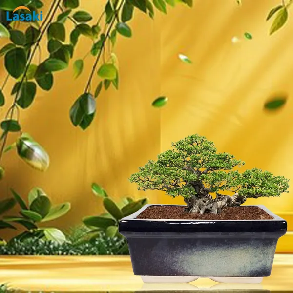 Decodew_Multi_Ceramic_Pots_For_Indoor_Plants,Bonsai,Planters,Gamla,Outdoor,Balcony,Home,Garden,Office_Decor,Succulent(L_-_28_X_W_-_28_X_H_-_12_Cm)