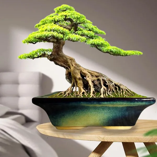Urban_Multi_Ceramic_Pots_For_Indoor_Plants,Bonsai,Planters,Gamla,Outdoor,Balcony,Home,Garden,Office_Decor,Succulent(L_-_35_X_W_-_23_X_H_-_11_Cm)