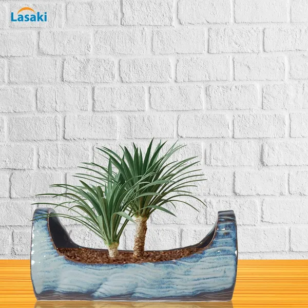 Rootsphere_Multi_Ceramic_Pots_For_Indoor_Plants,Bonsai,Planters,Gamla,Outdoor,Balcony,Home,Garden,Office_Decor,Succulent(L_-_38_X_W_-_18_X_H_-_17.5_Cm)