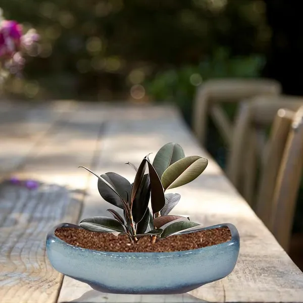 Skiff_Multi_Ceramic_Pots_For_Indoor_Plants,Bonsai,Planters,Gamla,Outdoor,Balcony,Home,Garden,Office_Decor,Succulent(L_-_28_X_W_-_10.5_X_H_-_10_Cm)