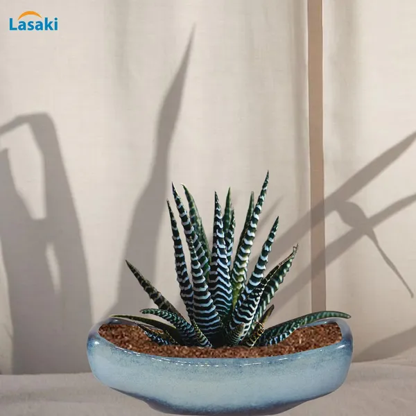 Skiff_Multi_Ceramic_Pots_For_Indoor_Plants,Bonsai,Planters,Gamla,Outdoor,Balcony,Home,Garden,Office_Decor,Succulent(L_-_28_X_W_-_10.5_X_H_-_10_Cm)