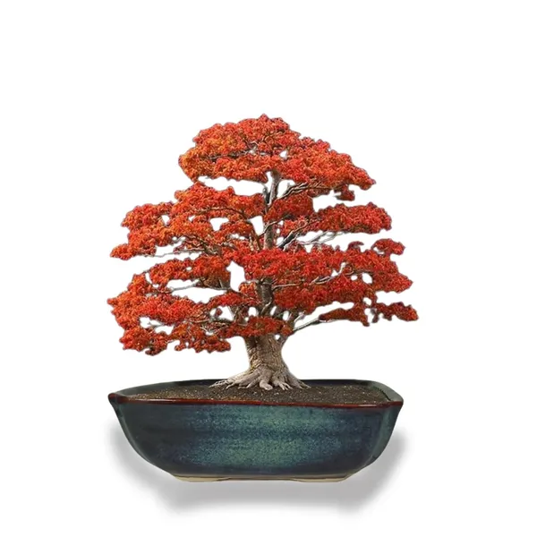 Moss_Medium_Multi_Ceramic_Pots_For_Indoor_Plants,Bonsai,Planters,Gamla,Outdoor,Balcony,Home,Garden,Office_Decor,Succulent(L_-_27_X_W_-_18.5_X_H_-_9_Cm)