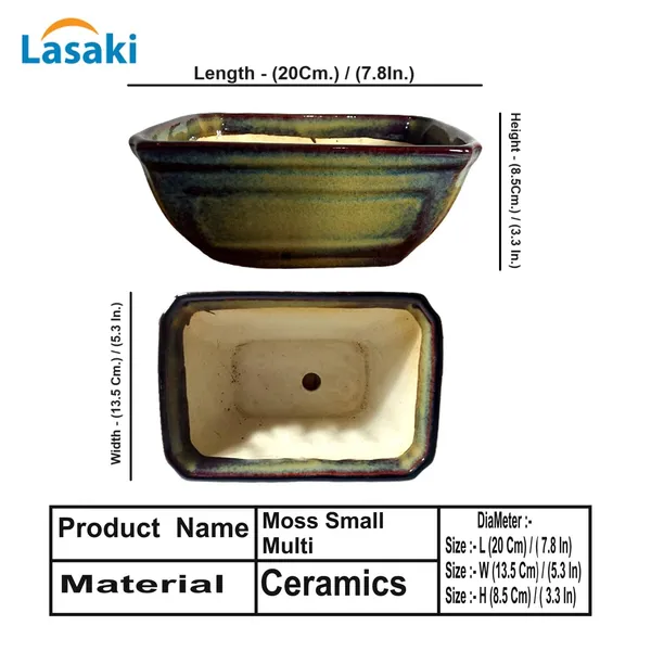 Moss_Small_Multi_Ceramic_Pots_For_Indoor_Plants,Bonsai,Planters,Gamla,Outdoor,Balcony,Home,Garden,Office_Decor,Succulent(L_-_20_X_W_-_13.5_X_H_-_8.5_Cm)