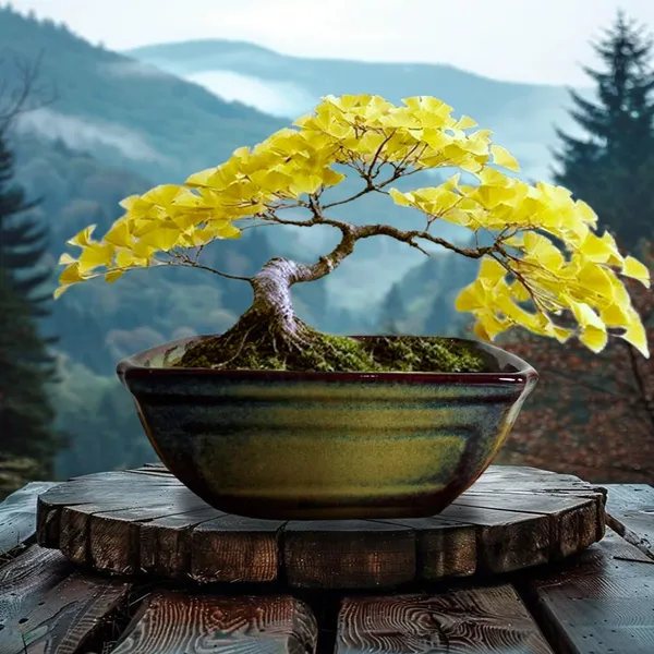 Moss_Small_Multi_Ceramic_Pots_For_Indoor_Plants,Bonsai,Planters,Gamla,Outdoor,Balcony,Home,Garden,Office_Decor,Succulent(L_-_20_X_W_-_13.5_X_H_-_8.5_Cm)