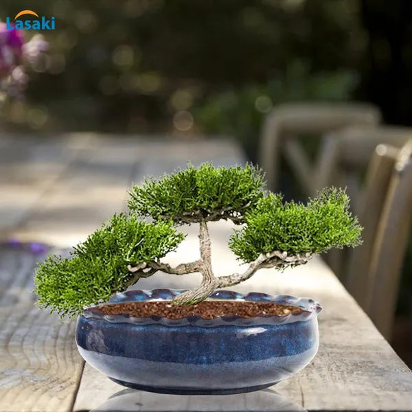 Twist_Small_Multi_Ceramic_Pots_For_Indoor_Plants,Bonsai,Planters,Gamla,Outdoor,Balcony,Home,Garden,Office_Decor,Succulent(H-6.5_X_D-16.5_Cm)
