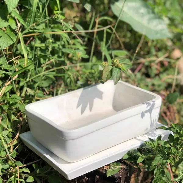 Rectangle_White_Rec003_With_Plate_White_Rec003_Ceramic_Pots_For_Indoor_Plants,Bonsai,Planters,Gamla,Outdoor,Balcony,Home,Garden,Succulent