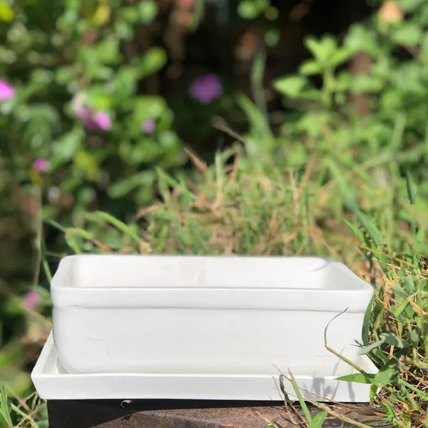 Rectangle_White_Rec003_With_Plate_White_Rec003_Ceramic_Pots_For_Indoor_Plants,Bonsai,Planters,Gamla,Outdoor,Balcony,Home,Garden,Succulent