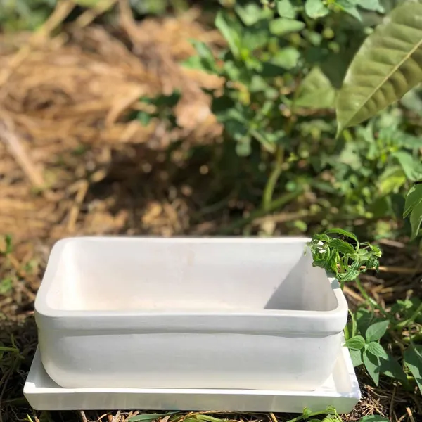 Rectangle_White_Rec003_With_Plate_White_Rec003_Ceramic_Pots_For_Indoor_Plants,Bonsai,Planters,Gamla,Outdoor,Balcony,Home,Garden,Succulent