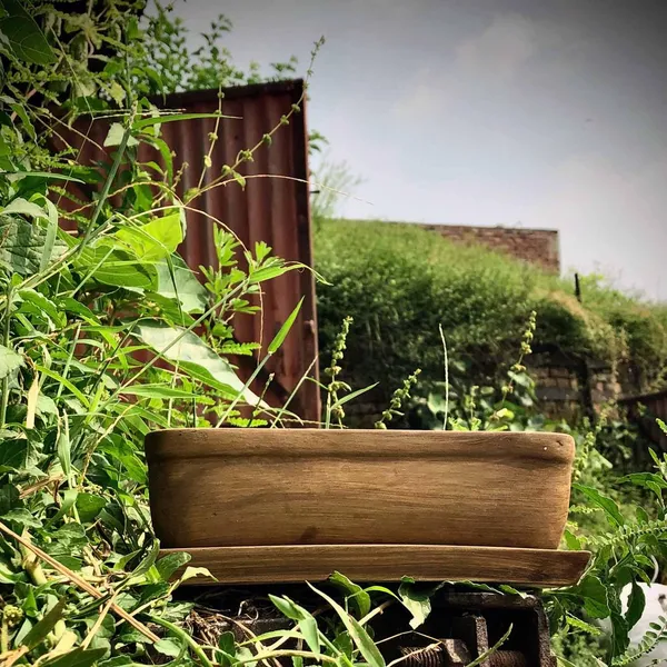 Rectangle_Antique_Rec003_With_Plate_Antique_Rec003_Ceramic_Pots_For_Indoor_Plants,Bonsai,Planters,Gamla,Outdoor,Balcony,Home,Garden,Succulent