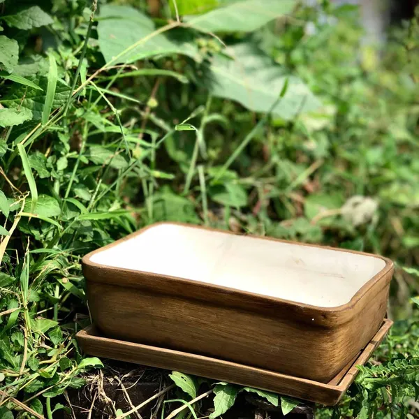 Rectangle_Antique_Rec003_With_Plate_Antique_Rec003_Ceramic_Pots_For_Indoor_Plants,Bonsai,Planters,Gamla,Outdoor,Balcony,Home,Garden,Succulent