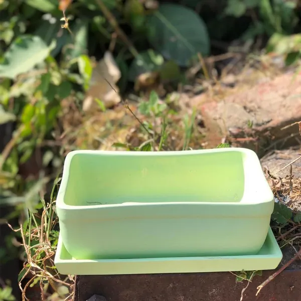 Rectangle_Mint_Rec003_With_Plate_Mint_Rec003_Ceramic_Pots_For_Indoor_Plants,Bonsai,Planters,Gamla,Outdoor,Balcony,Home,Garden,Succulent