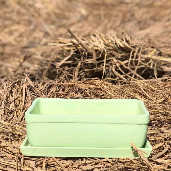 Rectangle_Mint_Rec003_With_Plate_Mint_Rec003_Ceramic_Pots_For_Indoor_Plants,Bonsai,Planters,Gamla,Outdoor,Balcony,Home,Garden,Succulent