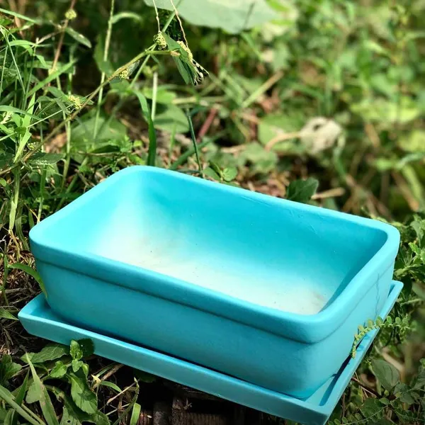 Rectangle_Aqua_Rec003_With_Plate_Aqua_Rec003_Ceramic_Pots_For_Indoor_Plants,Bonsai,Planters,Gamla,Outdoor,Balcony,Home,Garden,Succulent