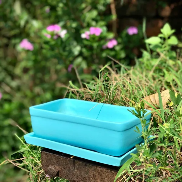 Rectangle_Aqua_Rec003_With_Plate_Aqua_Rec003_Ceramic_Pots_For_Indoor_Plants,Bonsai,Planters,Gamla,Outdoor,Balcony,Home,Garden,Succulent