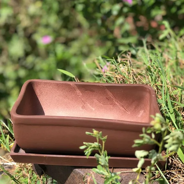 Rectangle_Truffle_Rec003_With_Plate_Truffle_Rec003_Ceramic_Pots_For_Indoor_Plants,Bonsai,Planters,Gamla,Outdoor,Balcony,Home,Garden,Succulent