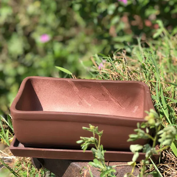 Rectangle_Truffle_Rec003_With_Plate_Truffle_Rec003_Ceramic_Pots_For_Indoor_Plants,Bonsai,Planters,Gamla,Outdoor,Balcony,Home,Garden,Succulent