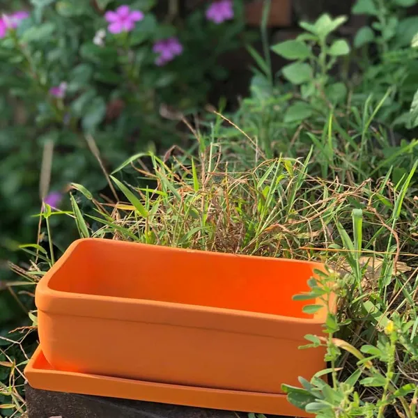 Rectangle_Lily_Rec003_With_Plate_Lily_Rec003_Ceramic_Pots_For_Indoor_Plants,Bonsai,Planters,Gamla,Outdoor,Balcony,Home,Garden,Succulent