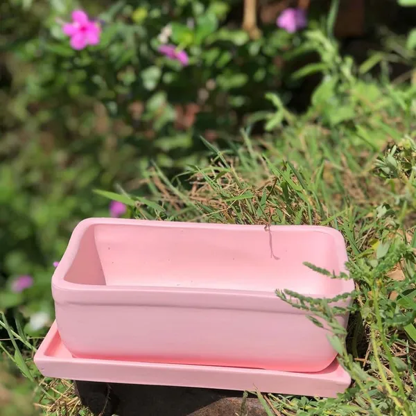 Rectangle_Pink_Rec003_With_Plate_Pink_Rec003_Ceramic_Pots_For_Indoor_Plants,Bonsai,Planters,Gamla,Outdoor,Balcony,Home,Garden,Succulent