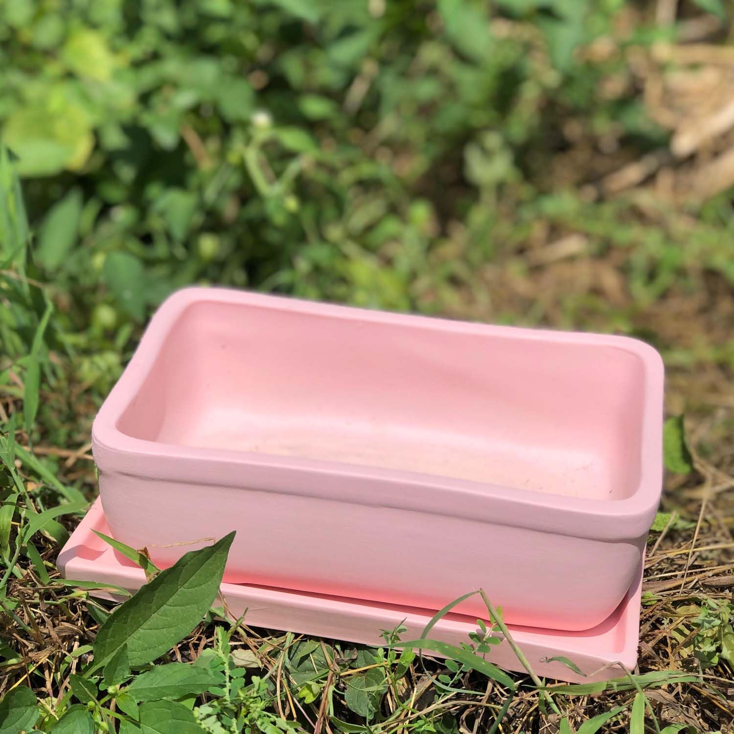 Rectangle_Pink_Rec003_With_Plate_Pink_Rec003_Ceramic_Pots_For_Indoor_Plants,Bonsai,Planters,Gamla,Outdoor,Balcony,Home,Garden,Succulent
