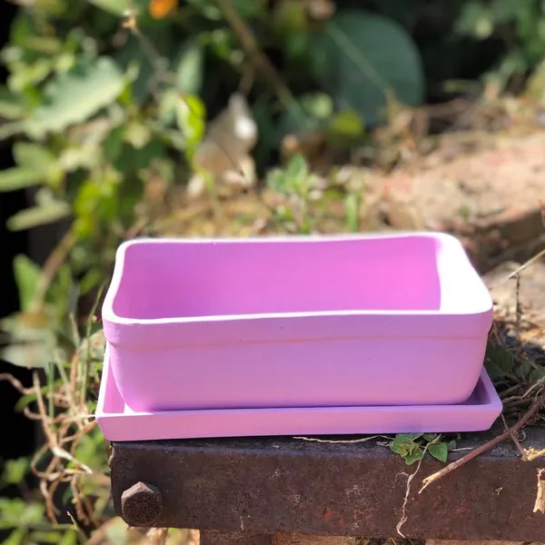 Rectangle_Purple_Rec003_With_Plate_Purple_Rec003_Ceramic_Pots_For_Indoor_Plants,Bonsai,Planters,Gamla,Outdoor,Balcony,Home,Garden,Succulent
