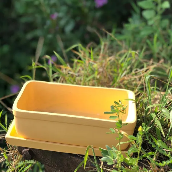 Rectangle_Saffron_Rec003_With_Plate_Saffron_Rec003_Ceramic_Pots_For_Indoor_Plants,Bonsai,Planters,Gamla,Outdoor,Balcony,Home,Garden,Succulent