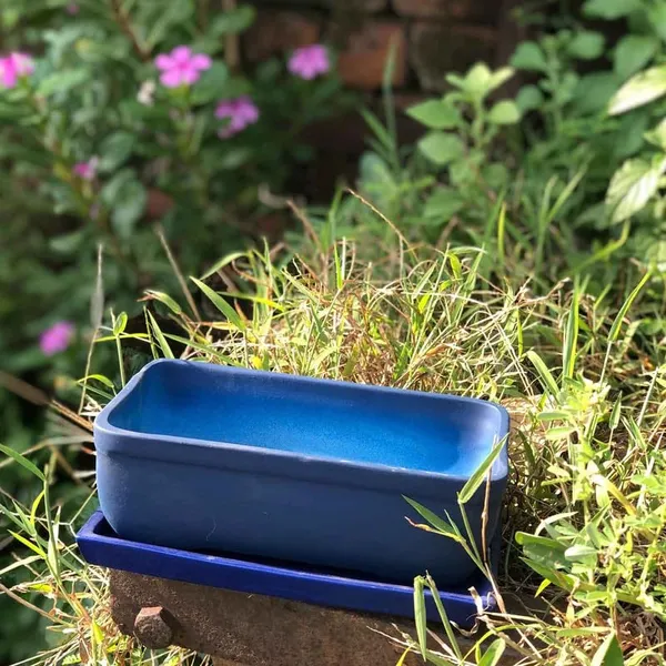 Rectangle_Blue_Rec003_With_Plate_Blue_Rec003_Ceramic_Pots_For_Indoor_Plants,Bonsai,Planters,Gamla,Outdoor,Balcony,Home,Garden,Succulent