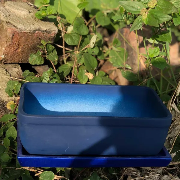 Rectangle_Blue_Rec003_With_Plate_Blue_Rec003_Ceramic_Pots_For_Indoor_Plants,Bonsai,Planters,Gamla,Outdoor,Balcony,Home,Garden,Succulent