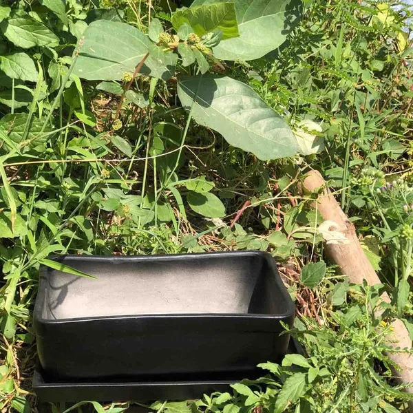 Rectangle_Black_Rec003_With_Plate_Black_Rec003_Ceramic_Pots_For_Indoor_Plants,Bonsai,Planters,Gamla,Outdoor,Balcony,Home,Garden,Succulent